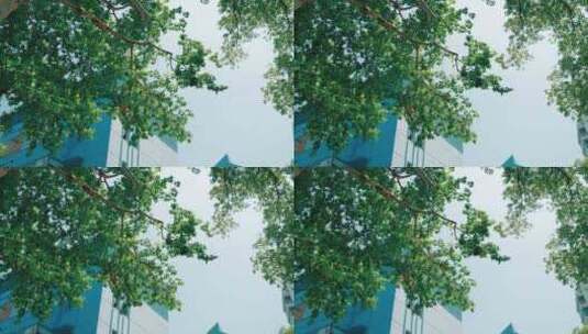 唯美日系清新胶片感仰拍树叶日光星芒与建筑高清在线视频素材下载