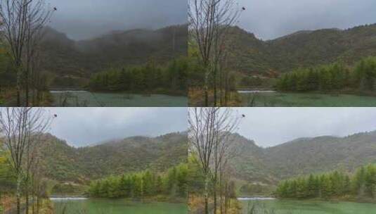 重庆巫溪红池坝景区雨雾延时高清在线视频素材下载