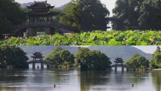 杭州西湖夏天曲院风荷玉带晴虹桥风光合集高清在线视频素材下载