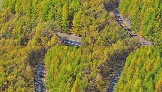 4k航拍内蒙古大兴安岭山中行驶的车辆高清在线视频素材下载