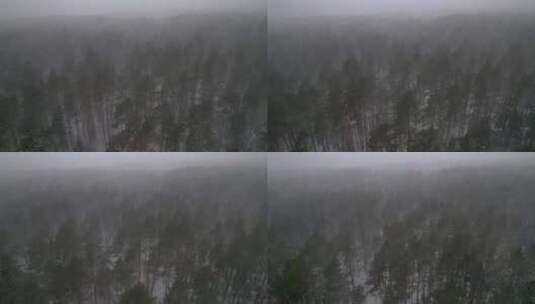 航拍冬天下雪的山林高清在线视频素材下载