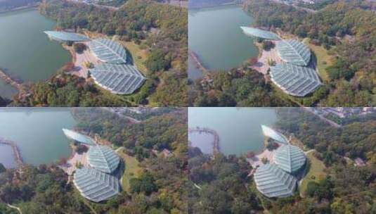 南京中山植物园航拍高清在线视频素材下载
