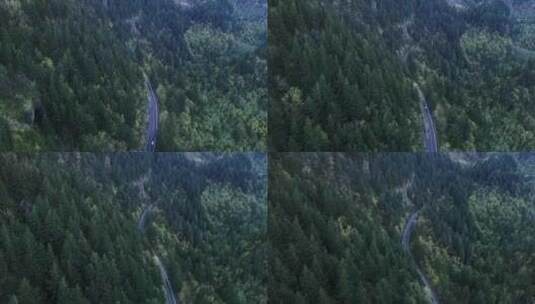航拍汽车行驶在森林的公路高清在线视频素材下载