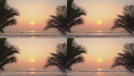 椰子树海边高清在线视频素材下载