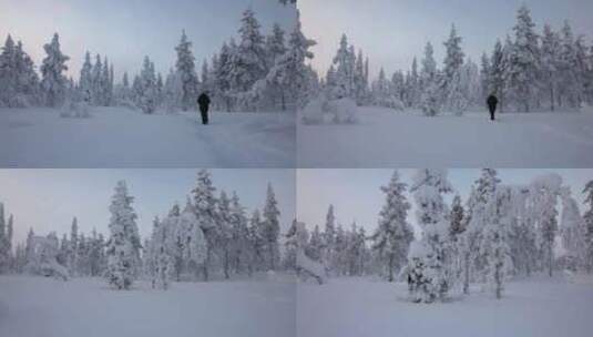 女孩漫步，在芬兰拉普兰的雪林中探索风景，高清在线视频素材下载