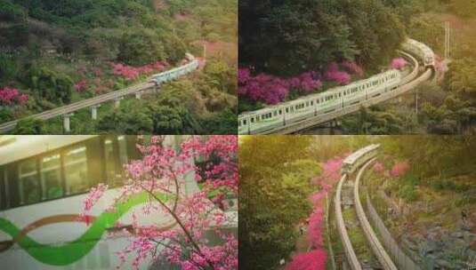 4k重庆开往春天的列车高清在线视频素材下载