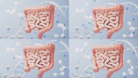 内脏器官肠道生物科技医学概念3D渲染高清在线视频素材下载