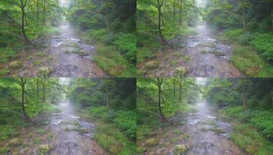 航拍绿色森林晨雾中的清澈溪流张家界金鞭溪高清在线视频素材下载