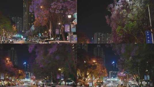 5K-昆明城市夜景，蓝花楹盛开的街道夜景高清在线视频素材下载