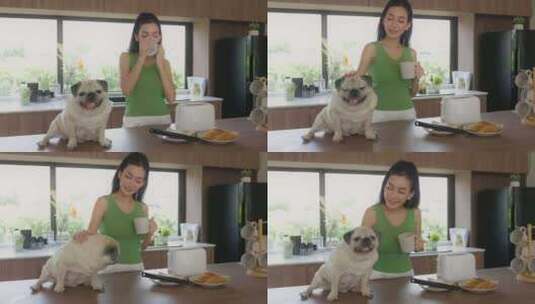 在现代厨房里与宠物哈巴狗一起享用早间咖啡高清在线视频素材下载