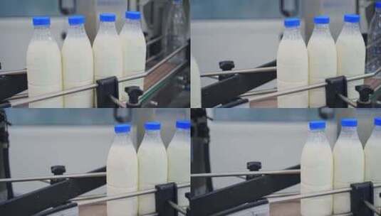 乳品厂的生产线。塑料瓶牛奶生产的自动化生高清在线视频素材下载