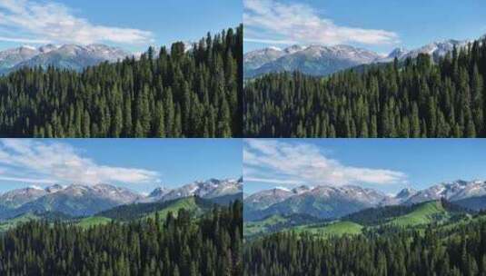 新疆恰西唯美震撼森林雪山航拍14高清在线视频素材下载