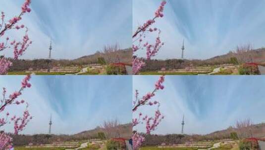 青岛中山公园春天的景色高清在线视频素材下载
