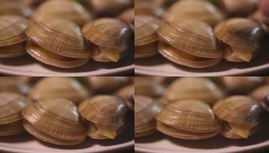 花蛤文蛤蛤蜊小海鲜 (6)高清在线视频素材下载