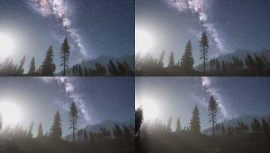 月光下的银河系星星与树木剪影高清在线视频素材下载
