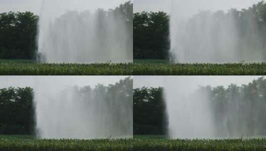 农场洒水系统高清在线视频素材下载
