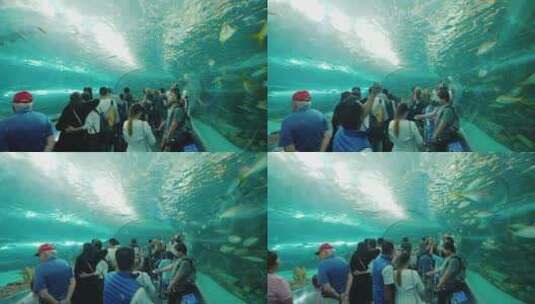 游客在水族馆鲨鱼隧道参观高清在线视频素材下载