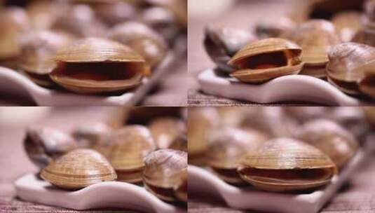 【镜头合集】蛤蜊贝壳花蛤文蛤高清在线视频素材下载