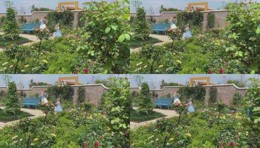 济南赛石花园植物高清在线视频素材下载