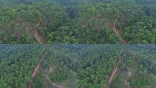 原始森林视频山区森林中土路上车辆艰难行驶高清在线视频素材下载