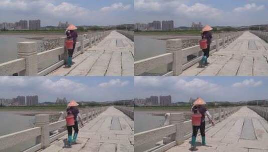 福建洛阳桥石桥泉州文化古迹万安桥四大名桥高清在线视频素材下载