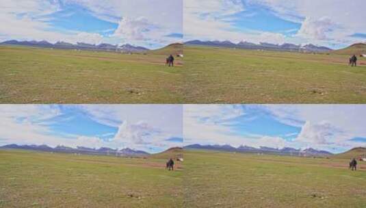 西藏那曲双湖县无人区牧民高清在线视频素材下载