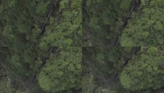 山间溪流瀑布峡谷丛林自然户外水流航拍高清在线视频素材下载