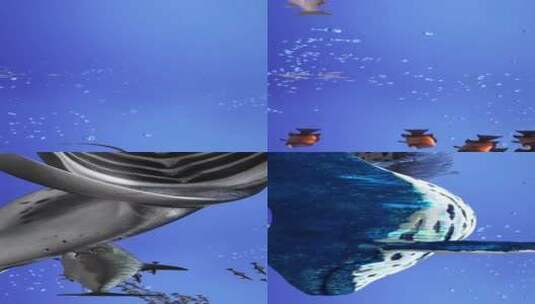 海底世界海底生物鲸鱼鲨鱼水母网红震撼天幕高清在线视频素材下载