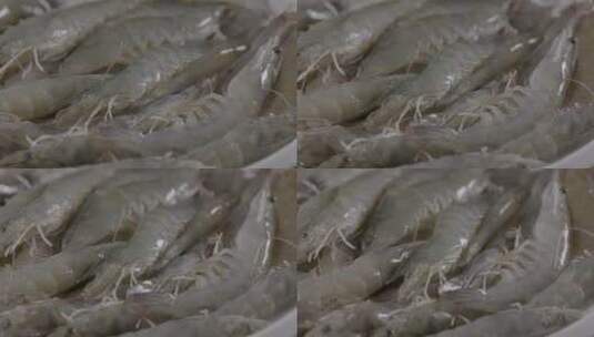 鲜活的海虾旋转展示LOG高清在线视频素材下载