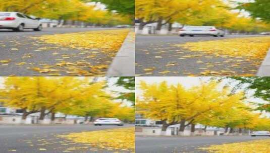 4K竖屏马路上的银杏叶素材（原声）高清在线视频素材下载