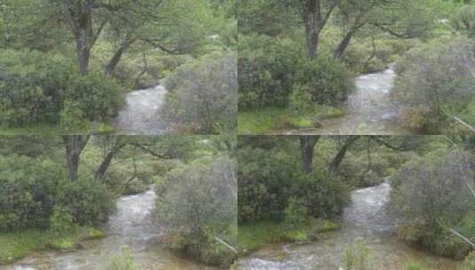 香格里拉牧场农场溪水河流风光风景高清在线视频素材下载