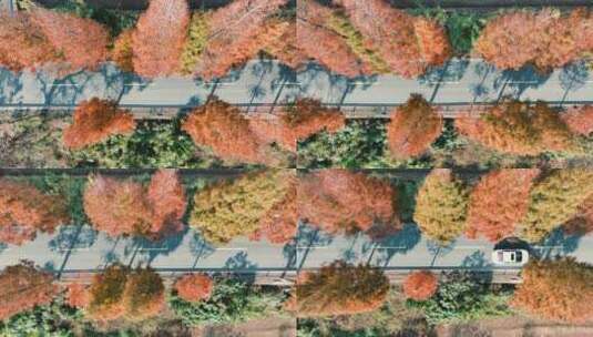 杭州钱塘区观十五线绝美秋景鸟瞰高清在线视频素材下载