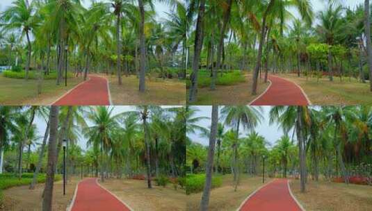 海南三亚椰梦长廊椰树椰子树椰林小路跑道高清在线视频素材下载