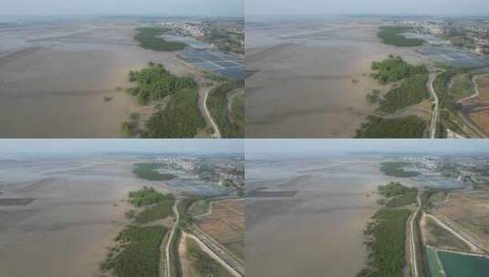 湛江北部湾红树林湿地航拍高清在线视频素材下载