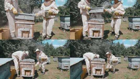 养蜂人 蜂蜜 采蜂蜜高清在线视频素材下载