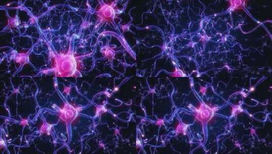 大脑神经元三维动画高清在线视频素材下载