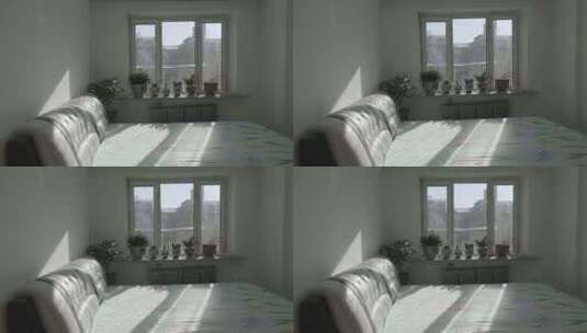 阳光透过摆满绿植的窗户撒到床上高清在线视频素材下载