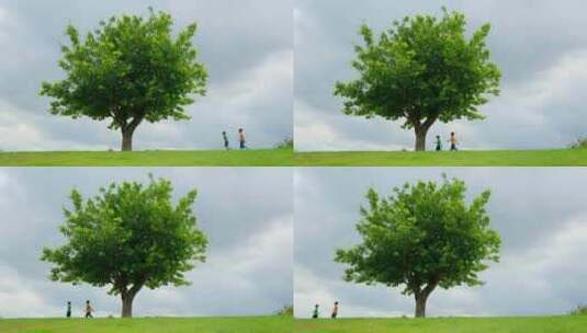 草坪上的一棵树 两个小孩走在乡间小路高清在线视频素材下载
