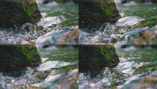 森林溪水流水花清澈山泉青苔藓小溪泉水高清在线视频素材下载