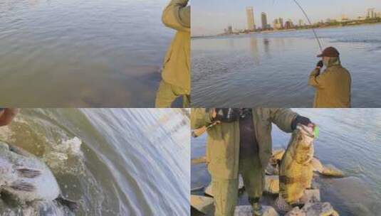 路亚钓鱼鳜鱼高清在线视频素材下载