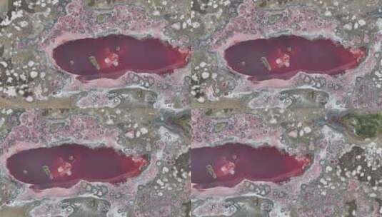 航拍沙漠中的粉红色海子高清在线视频素材下载