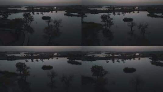 新疆塔里木河-夜景高清在线视频素材下载