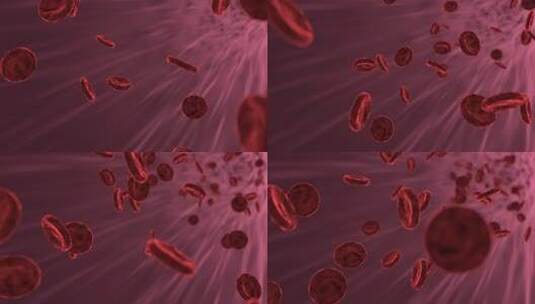 医疗医学人体血管细胞红细胞高清在线视频素材下载