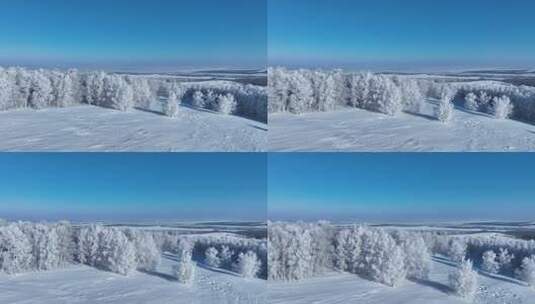 苍茫雪原上银装素裹白桦林高清在线视频素材下载