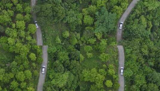 森林中道路上行驶的汽车俯拍高清在线视频素材下载