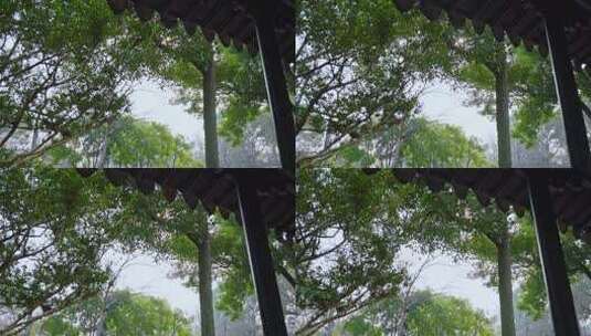 亭中望绿树繁茂景象高清在线视频素材下载