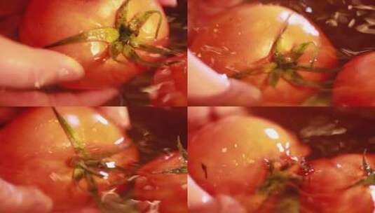 水盆清洗浸泡西红柿 (6)高清在线视频素材下载