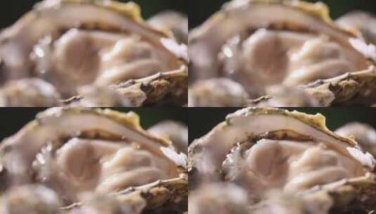 生蚝牡蛎海鲜高清在线视频素材下载