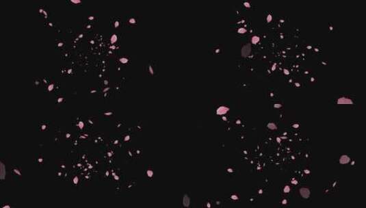 粉色花瓣飞扑素材高清在线视频素材下载
