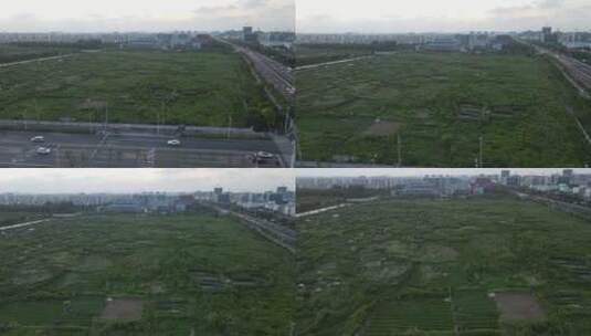 上海浦江郊野公园4K航拍高清在线视频素材下载